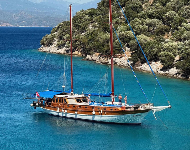 A cruise boat sailing next to the land