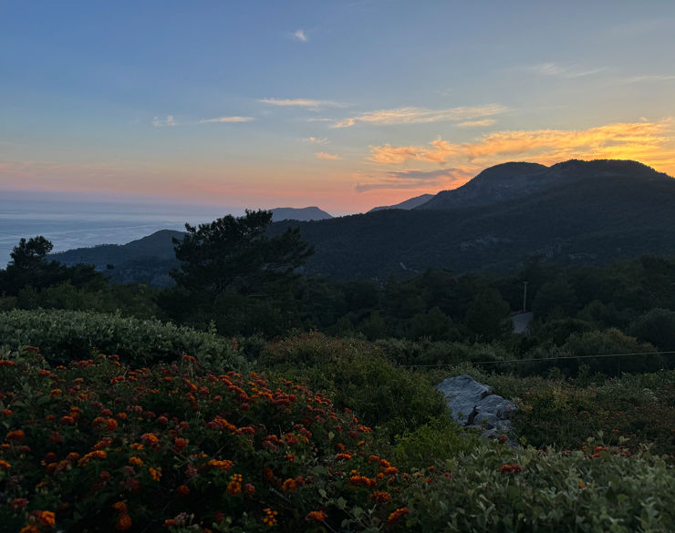 View of the garden and the sunset in the background