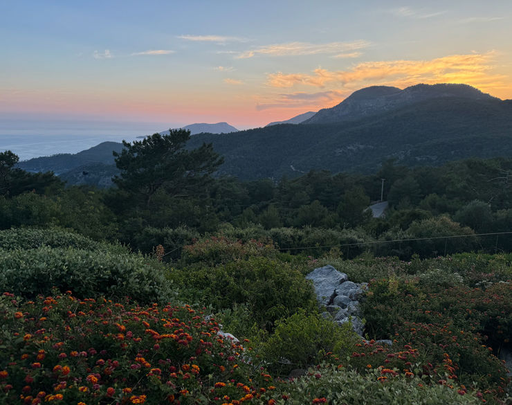 View of the garden and the sunset in the background